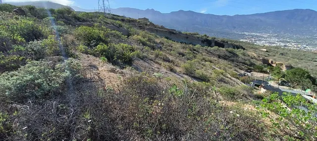 Terreno Guimar - foto 5