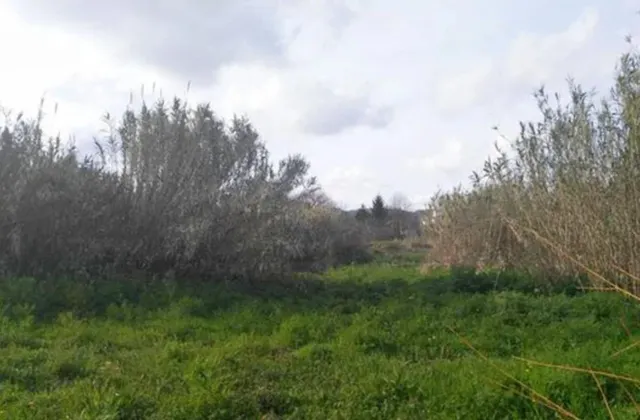 Conjunto de parcelas en venta en Fuente Santa, Pontevedra — 4