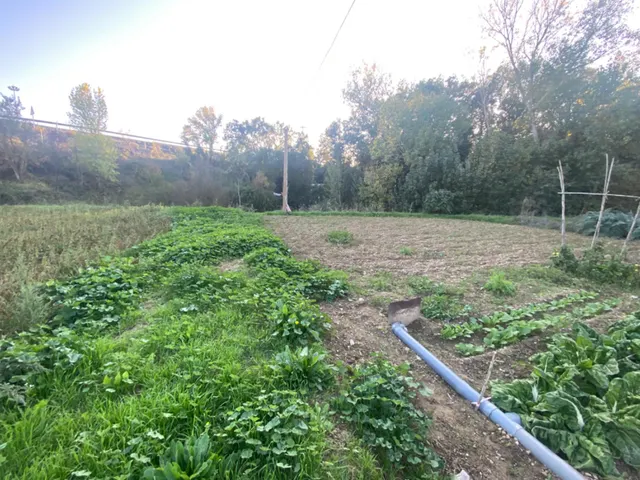 Preciosa finca cerca de Huesca con terreno — 32