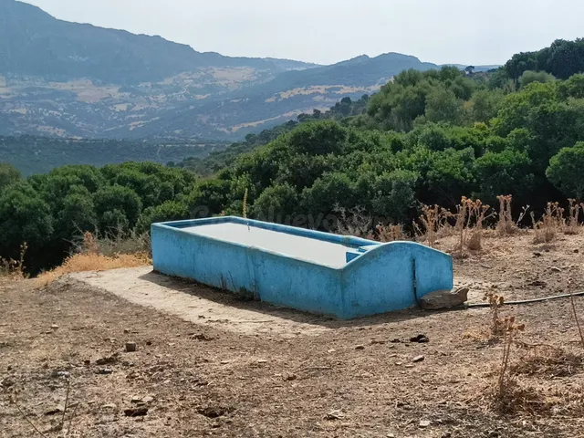 Finca Agrícola 800m² en venta - Riviera del sol — 5