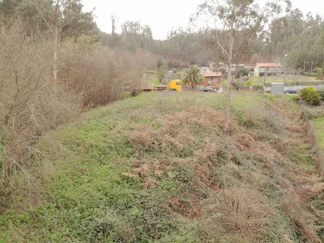 Finca Urbana en OzaCesuras — 17