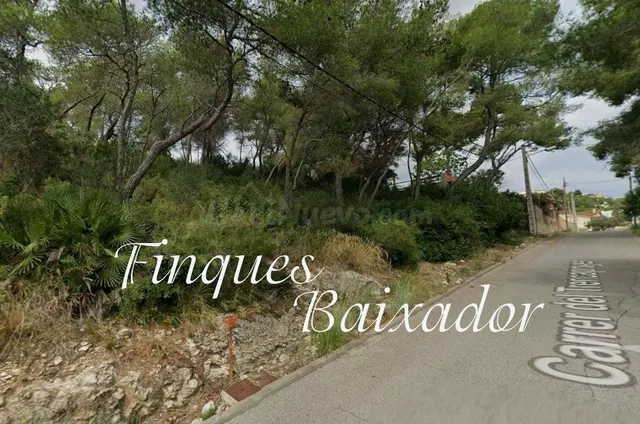 ¡FINQUES BAIXADOR PRESENTA ESTE SOLAR PARA CONSTRUIR TU CASA - foto 4