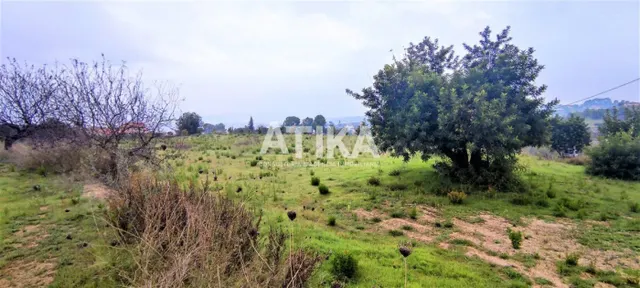 TERRENO EN VENTA A ESCASOS MINUTOS DEL PUEBLO - foto 4
