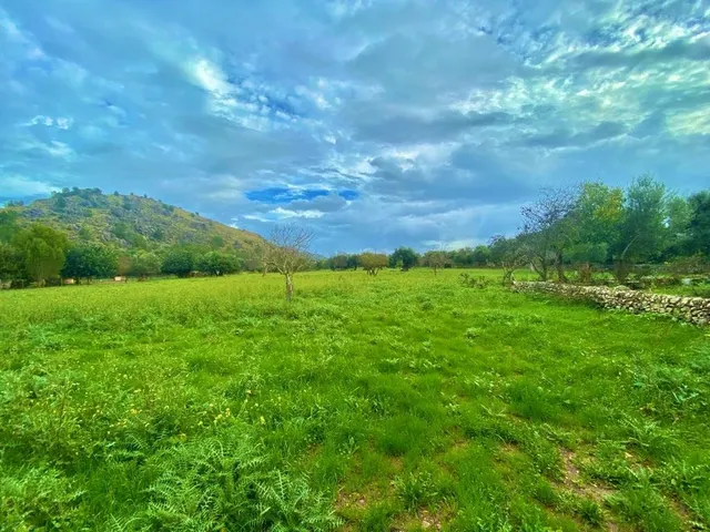 Finca rústica con caseta y 6000m2 para tus proyectos de campo — 18