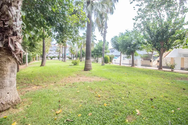 Apartamento 1 habitación 53m² en venta - Campoamor — 18