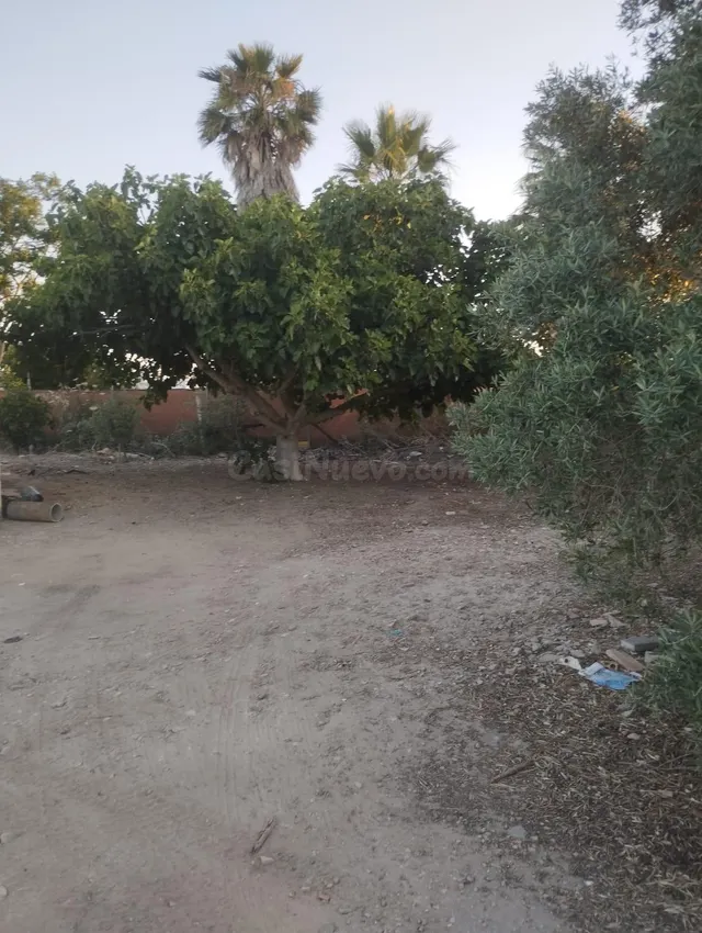 Terreno Rústico 30m² en venta - La Jara - foto 4