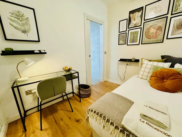 ¡¡¡¡¡ ATENCIÓN INVERSORES!!!!  PISO DE 4 habitaciones CON LICENCIA TURÍSTICA CON ALTA RENTABILIDAD — 39