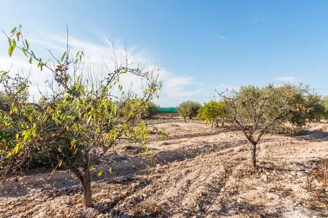 Finca rústica 4.180m2 de parcela con casa y piscina en las peñas (Fortuna) — 45
