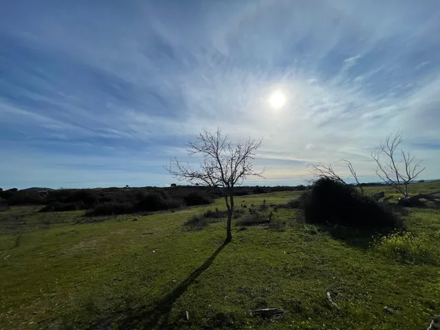 TERRENO DE 30 HECTÁREAS CON VIVIENDA DE UNOS 50 METROS ENTRE CÁCERES Y MALPARTIDA DE CÁCERES — 22