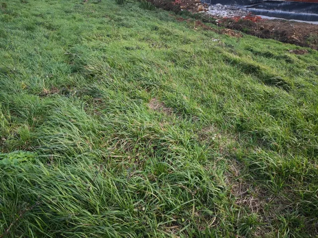 Terreno Urbano en Seaia - Malpica - foto 4