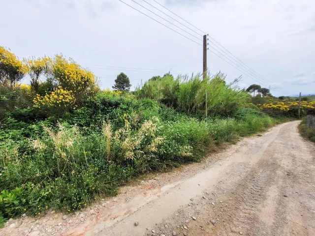 Terreno rústico de 10.735 m2 en Castellbisbal zona Can Nicolau de Dalt. — 11