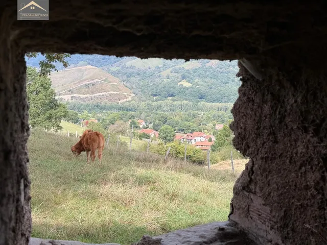 FINCA RUSTICA CON CUADRA EN RUENTE - foto 2