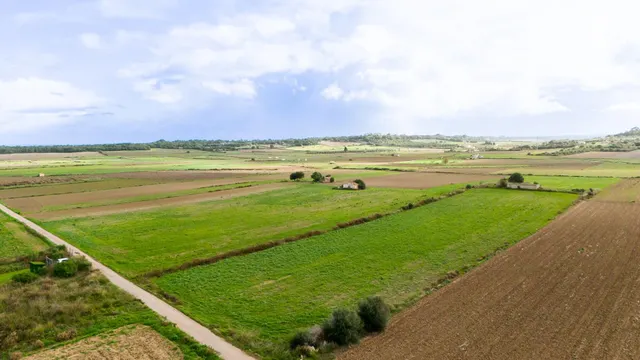 Parcela rústica con proyecto en muro — 9