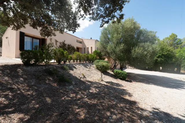 BONITA FINCA RÚSTICA EN SINEU EN PLENA NATURALEZA - foto 4