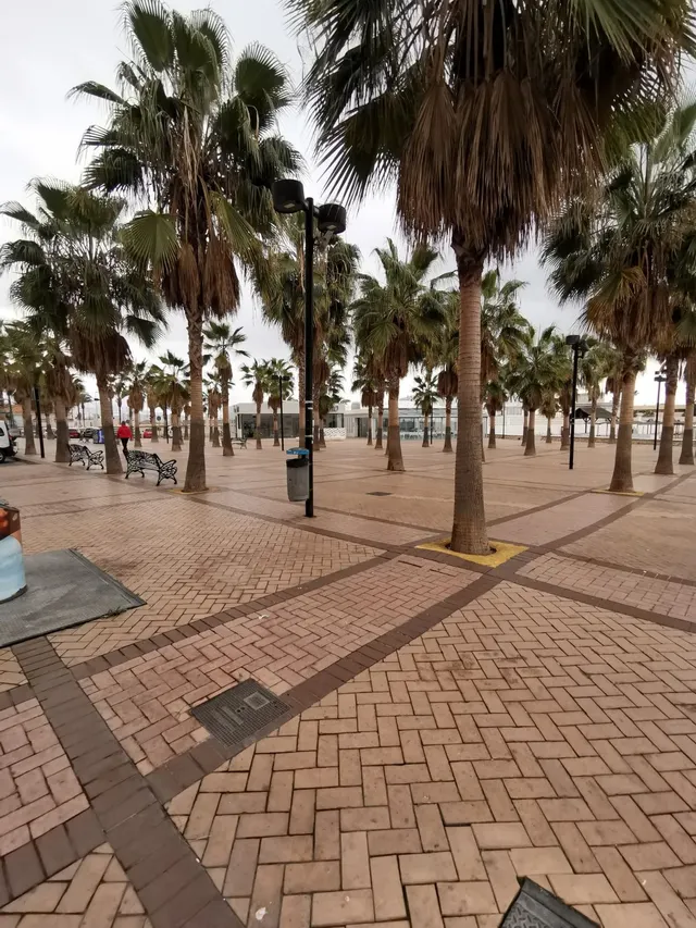 Parcela en venta - Centro — 13