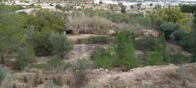 Parcela en venta. Zona Karting la cala en la carretera de Vi - foto 2
