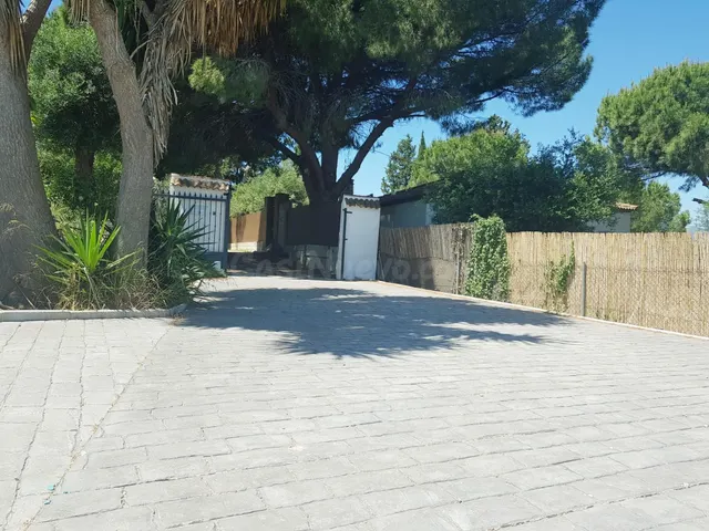 ÍNCREIBLE FINCA CON CASA Y TERRENO EN PRODUCCIÓN DEL CÍTRICO - foto 5