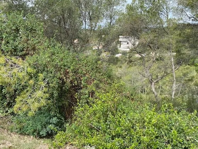 PARCELA EN VENTA EN OLIVELLA — 3