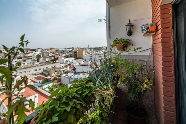 Un Balcón al Aljarafe y a Sevilla — 2