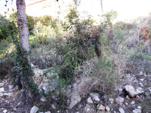 PARCELA DE 947 m2 EN COSTA CUNIT - TARRAGONA — 12