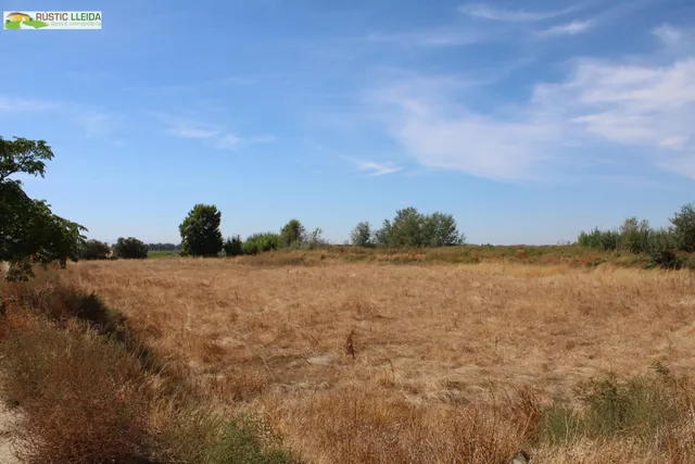 Masía con 18.000 m2 de terreno y amplios almacenes en Penelles. — 15
