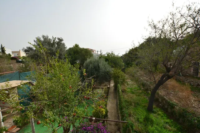 EN VENTA TERRENO URBANO EN GÉNOVA MALLORCA — 5
