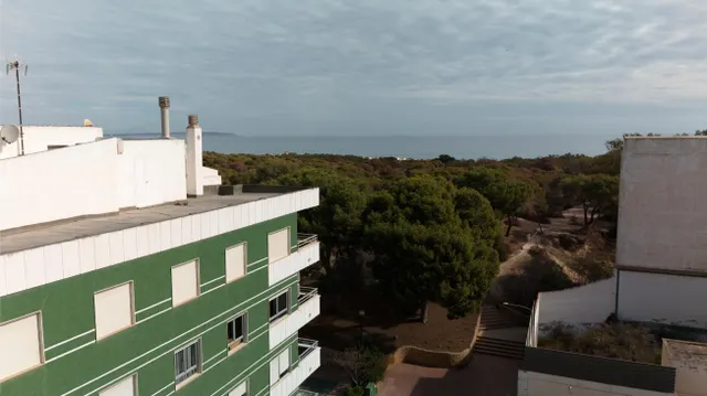 Planta baja 1 habitación 53m² en venta - CENTRO — 37