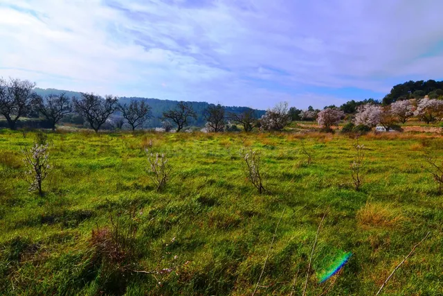 OPORTUNIDAD FINCA DE RIEGO CON PEQUEÑA construcción EN LA FA - foto 3
