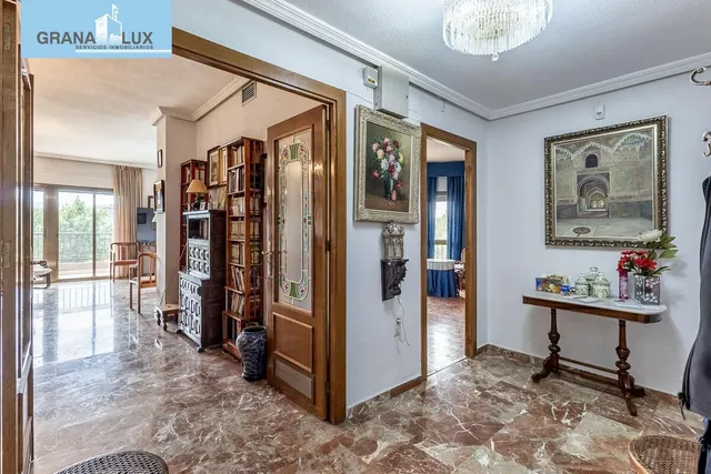 Pisazo en paseo del salón - Granada — 39