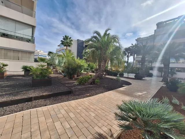 Apartamento 3 habitaciones 96m² en venta - Los Dolses — 35