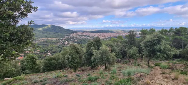 Terreno situado en Sant Feliu del Racó — 6