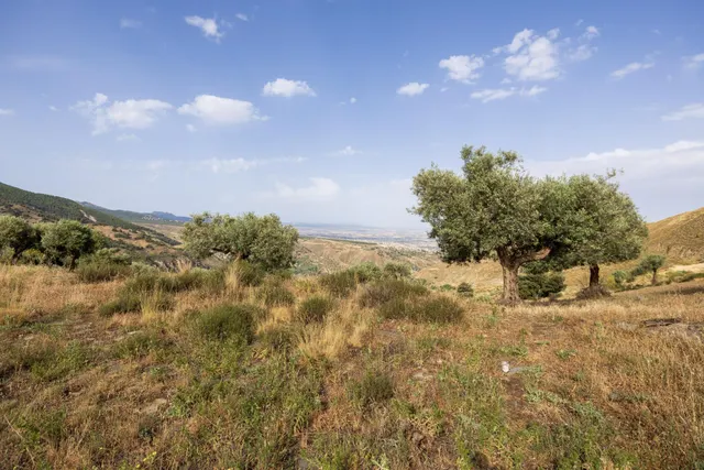 En Venta Maravilloso Paraje Natural, a medio camino entre Granada y Sierra Nevada, a veinte minutos en coche, desde cada una de ellas. — 15
