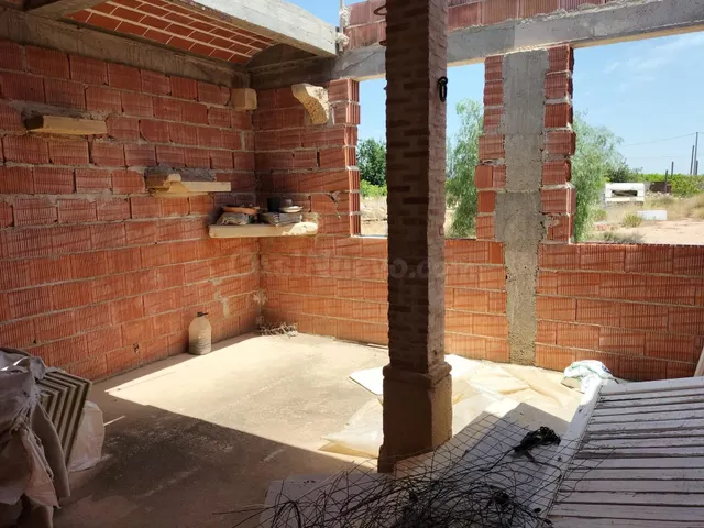 PARCELA CON VIVIENDA EN CONSTRUCCIÓN, CUEVA HABILITADA DE VI - foto 5