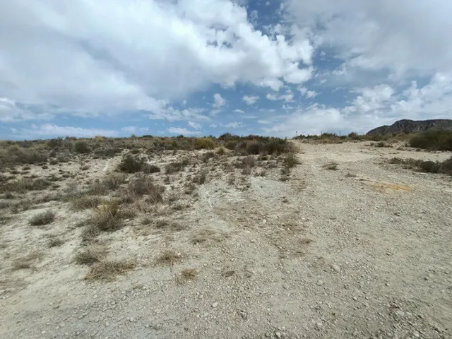 SE VENDE PARCELA SECANO EN EL FENAZAR - foto 4
