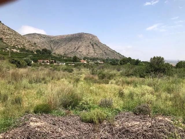 TERRENO EN ASPE — 4