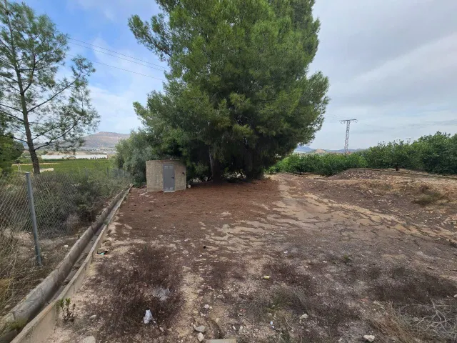 Finca rústica en Blanca | limoneros en producción y para construir vivienda — 12