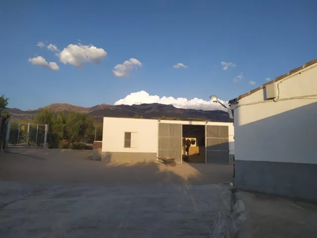CORTIJO CON GRAN PRODUCCIÓN ACEITUNERA EN 5,5 Ha. — 11
