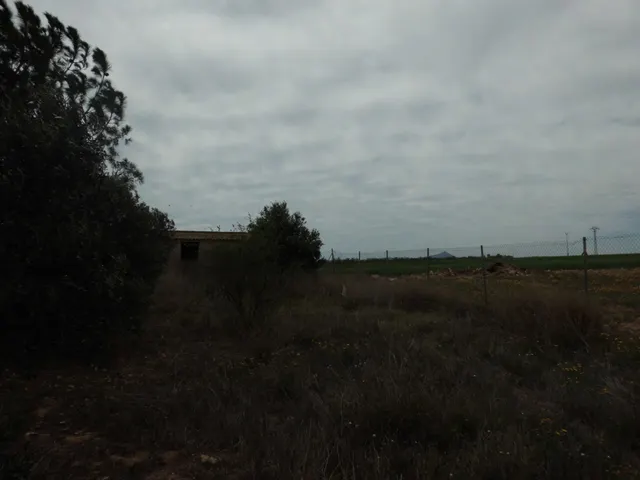 Terreno Rústico de 1800 m2 en Valladolises ✨ — 10