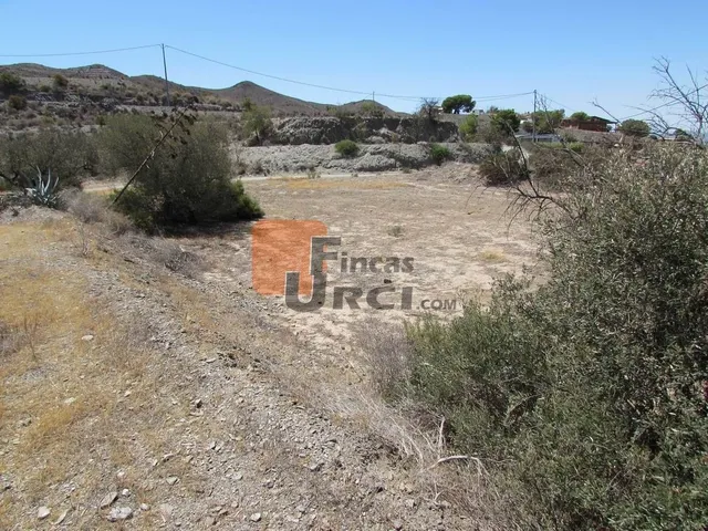 Parcela en venta - Tebar - foto 2