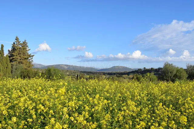 Finca rústica con posibilidad de construir una vivienda en M