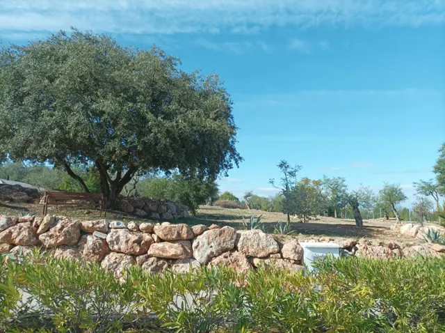 Parcela en venta - Costa del Sol — 8