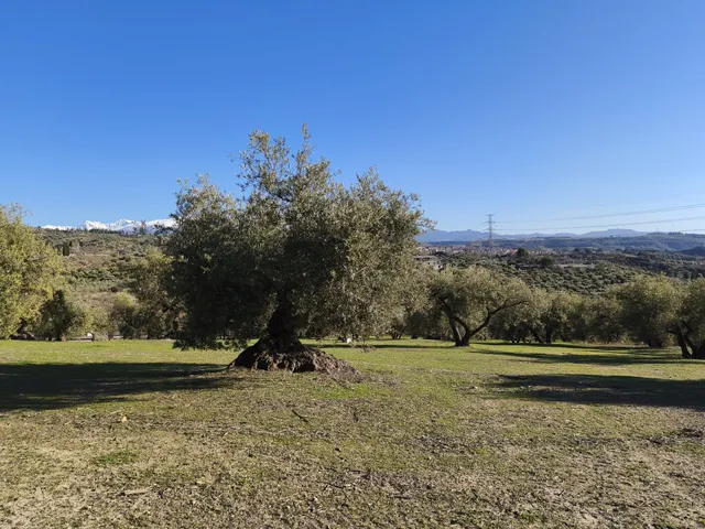 Terreno rural en venta - Sierra de huetor y la alfaguara — 20