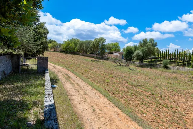 ALGAIDA, MAGNIFICA FINCA RUSTICA DE 121.000 M2 CON CASA — 38