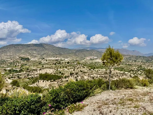 ESPECTACULAR VILLA DE LUJO CON PISCINA PRIVADA Y VISTAS AL PAISAJE EN RELLEU — 45
