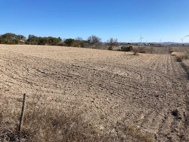 SE VENDE PARCELA SEGREGADA EN EL FONTANAR - foto 4