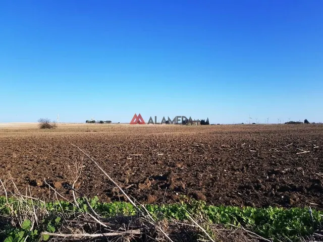 PARCELA SEGREGADA MIRALAMAR — 6