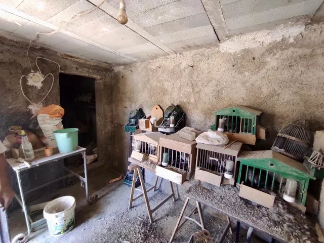 CASA DE PUEBLO CON VISTAS PANORAMICAS ( ABLA) — 35