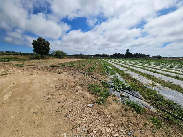 Terreno agricola en venta en Malgrat de Mar — 14