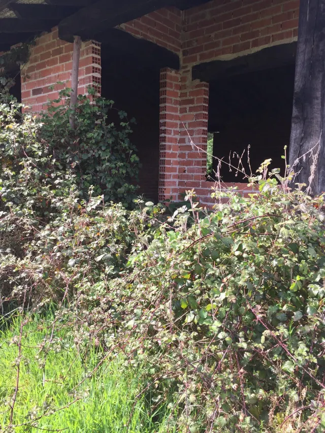 CABAÑA INDEPENDIENTE CON TERRENO EN RUENTE - foto 4