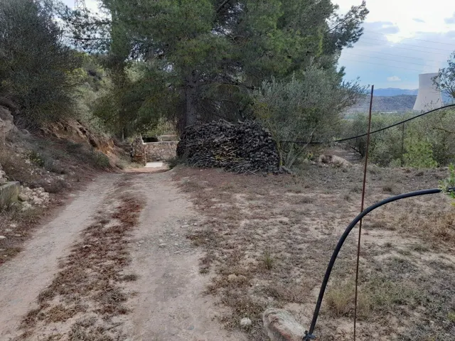 OPORTUNIDAD FINCA RUSTICA DE REGADIO CON CASA DE CAMPO EQUIPADA EN ASCO — 30